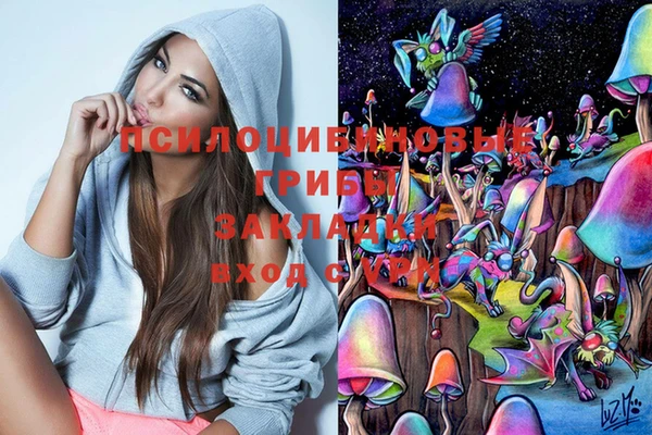 дурь Надым