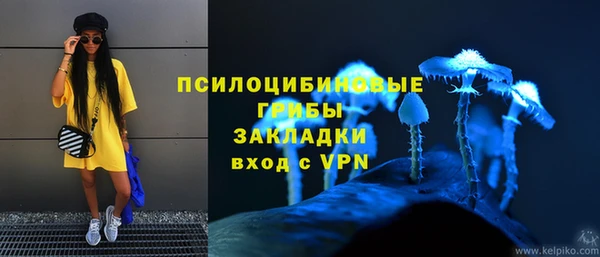 дурь Надым
