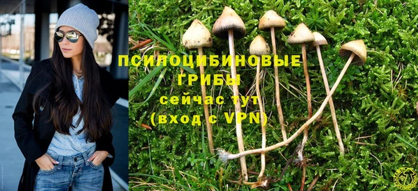 дурь Надым