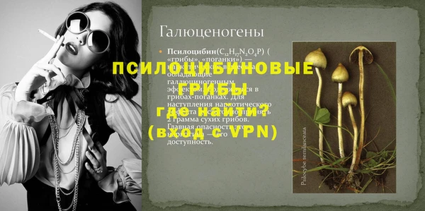 дурь Надым