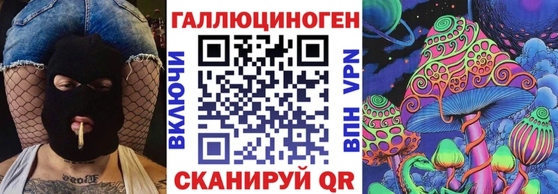 Купить закладки  Пучеж  Галлюциногенные грибы Psilocybe 